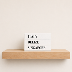 Argentina Travel Faux Book Keepsake Box