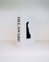 Delaware Travel Faux Book Keepsake Box